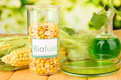 Blackthorn biofuel availability