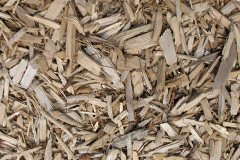 biomass boilers Blackthorn